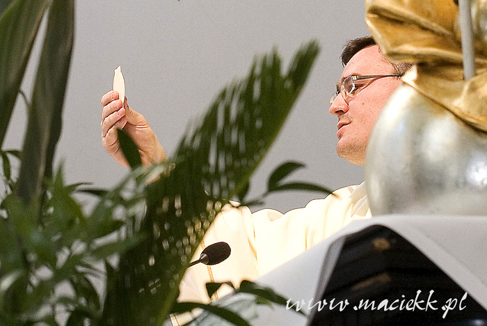 IMG_10065 copy